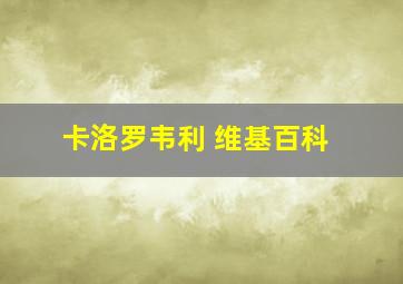 卡洛罗韦利 维基百科